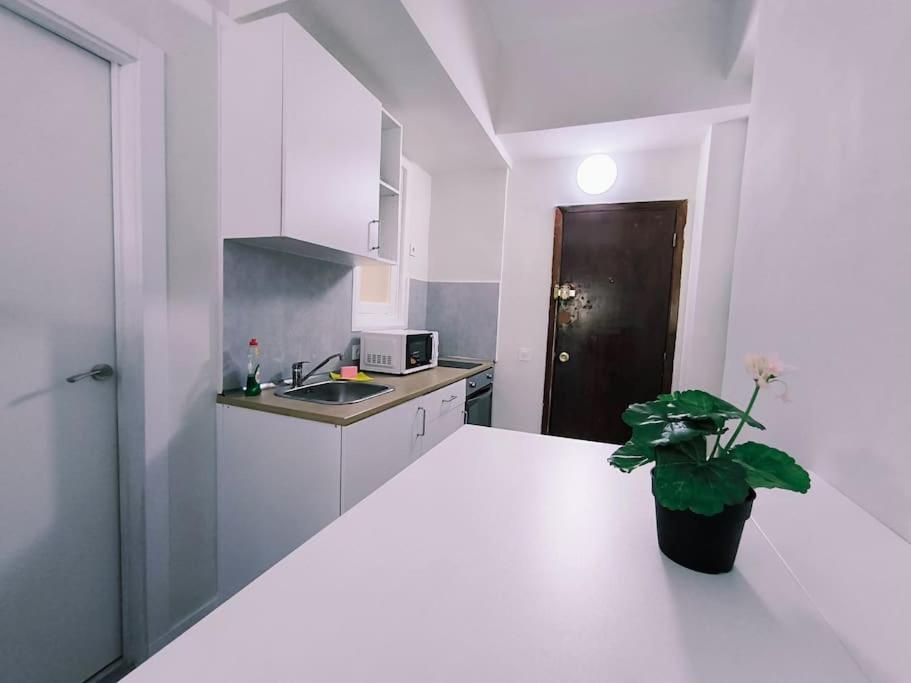 Apartamentos Carrillo 7 Santa Cruz de Tenerife Luaran gambar